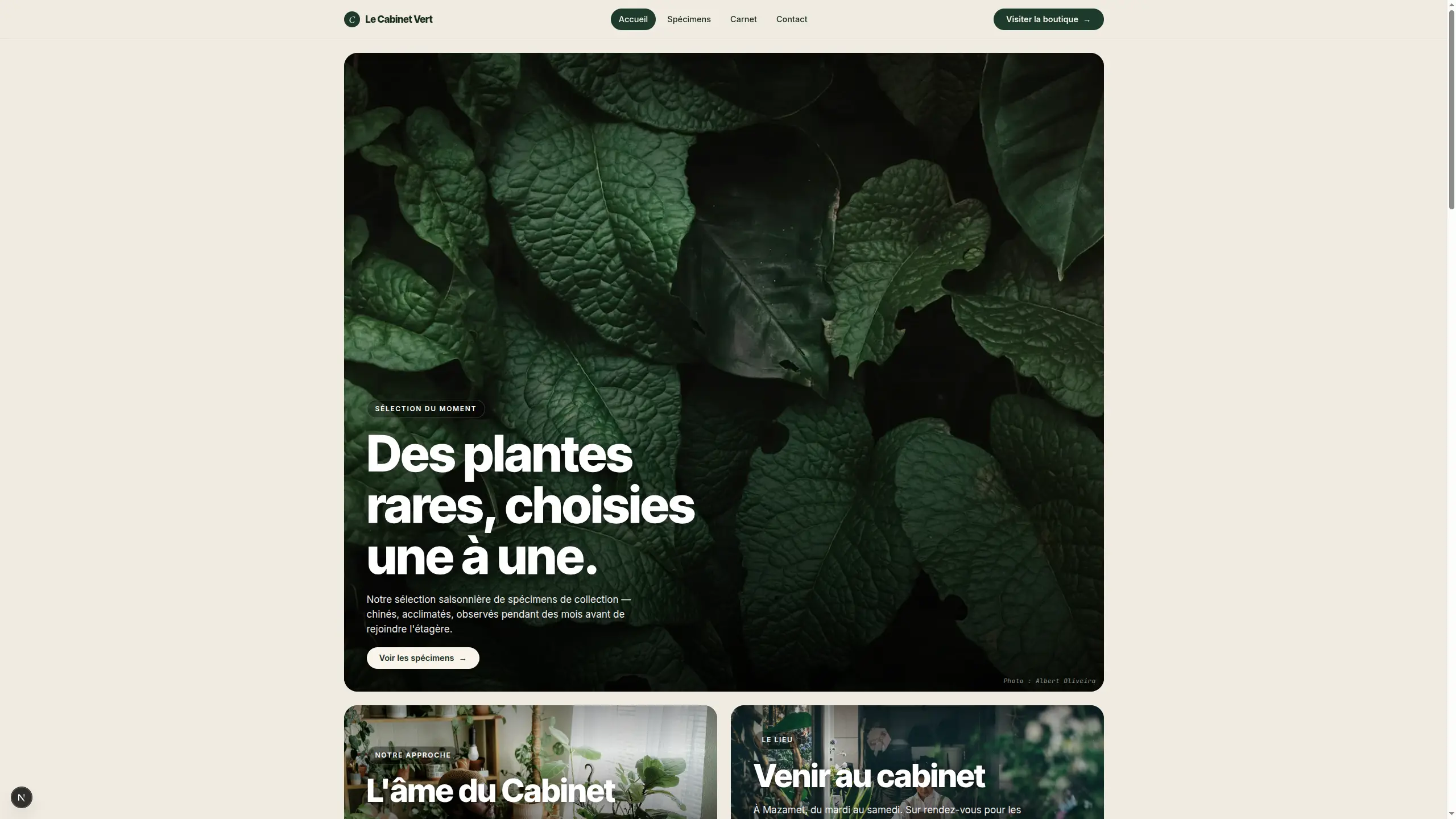 Aperçu du template Boutique de plantes rares